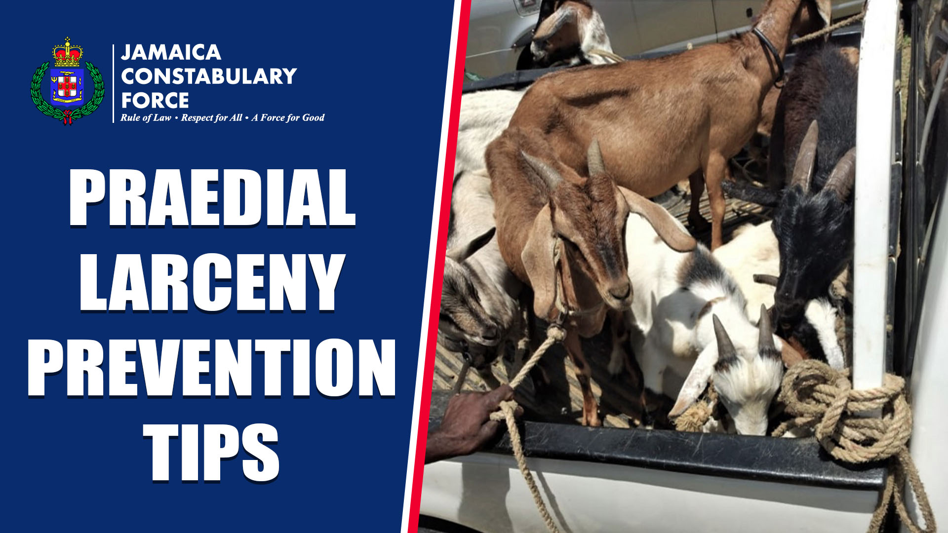 Praedial Larceny Prevention Tips - Jamaica Constabulary Force